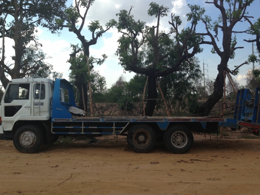 MITSUBISHI FUSO FN515 - 175 HP 6D15 รถหางปลาสิบล้อเพลาเดียว มีหางไฮดรอลิกส์ขึ้นรถเกี่ยวครบพร้อมใช้งานได้เลย เครื่องแรงดี หัวเก๋งตาเหลี่ยมภายในครบพร้อม พวงมาลัยเพาเวอร์ ช่วงล่างคัชซีสวย ยางสภาพดีพร้อมลากพร้อมบรรทุกได้เลย เอกสารทะเบียนภาษีครบพร้อมโอน ราคาต่