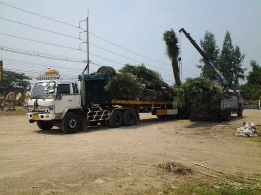 รถเทรลเลอรับจ้าง 12 เมตรพื้นเรียบ ติดต่อ 0856853700