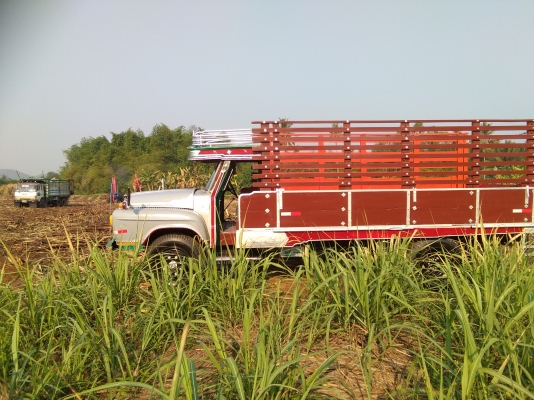 ขายแล้วครับขอบคุณเสี่ยอามโคราชมัดจำแล้ว30000ครับนัดเงินอ้อย9-10นี้รับรถครับ