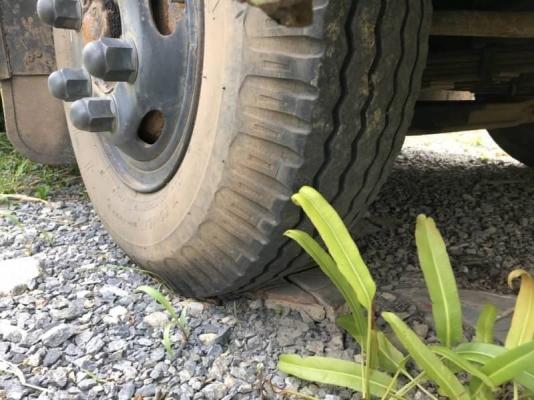 MITSU CANTER EURO1