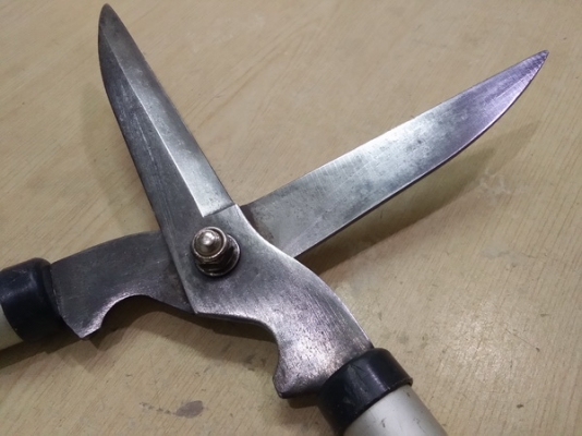 กรรไกรตัดหญ้า