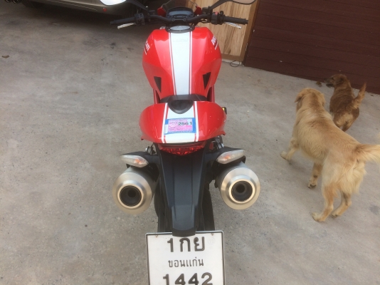 ขายถูกๆ-796 ปี -15 ขายถูกๆ-796 ปี -15
