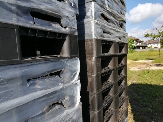 พาเลทพลาสติก สภาพสวยดีมาก