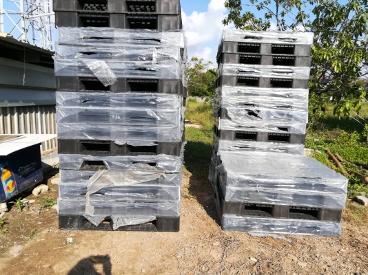 พาเลทพลาสติก สภาพสวยดีมาก