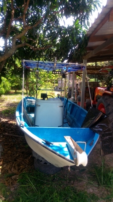 ขายเรือไฟเบอร์ 16 ฟุตครึ่ง ราคา49000 บาทลดราคาเหลือ39000บาท