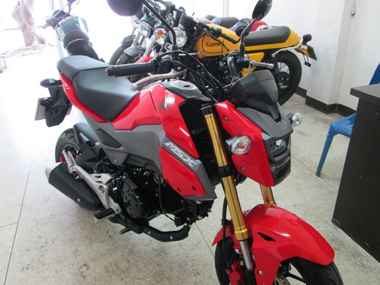 (โอนฟรี) ขาย Honda Msx 125 ปี 2017 ไมล์ 2494 กม รถหัวฉีดประหยัดน้ำมัน สภาพเดิมๆ (โอนฟรี) ขาย Honda Msx 125 ปี 2017 ไมล์ 2494 กม รถหัวฉีดประหยัดน้ำมัน สภาพเดิมๆ