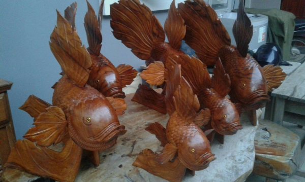 ปลากัดจีนไม้สัก