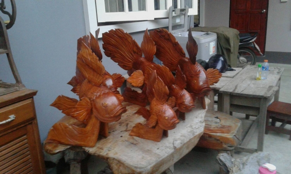 ปลากัดจีนไม้สัก