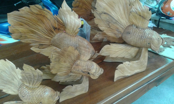 ปลากัดจีนไม้สัก