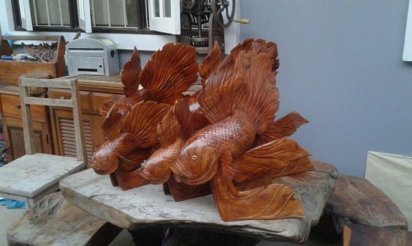 ปลากัดจีนไม้สัก