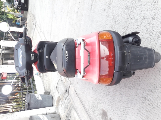 ขาย honda bali 50cc.