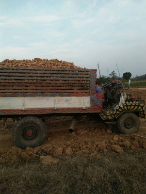 ขายรถอีแต๋นเพลาลอยมีสโลวทะเบียนพร้อมโอนเครื่อง11แรงครึ่งรถใช้งานทุกวันสนใจโทร0641019335/0807346335คับ