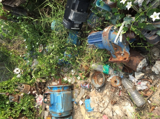 ขายเหมามอเตอร์เกียร์