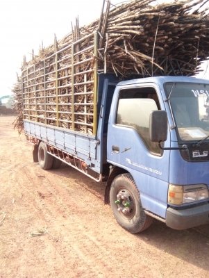 ขายด่วน isuzu NPR 130 แรงม้า ปี49 เดิมๆ