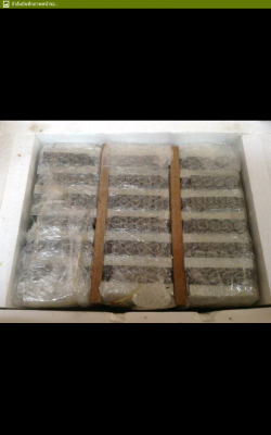 แม่เหล็กแรงดูดสูงขนาด 65&times;45&times;10