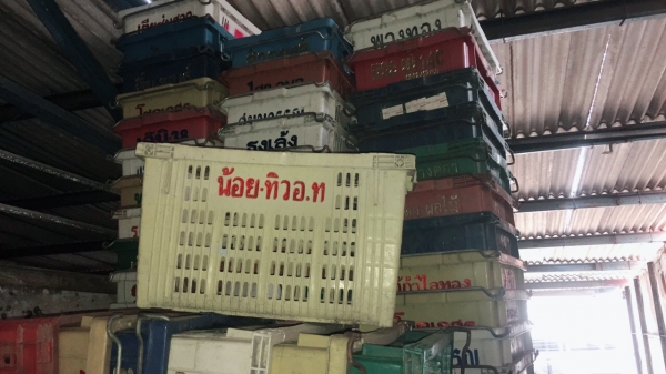 ขาย ตะกร้าผลไม้ มือสองครับ