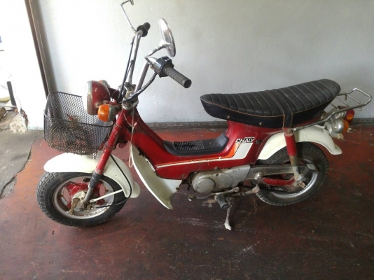 ขายชาลี ขายชาลี