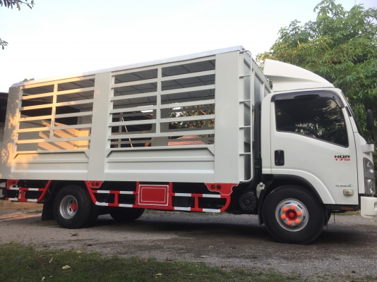 ขายรถ 6ล้อ NQR 175 แรง ปี56 ยาว 5.50 เมตร พร้อมลิฟท้าย สวยๆพร้อมใช้งาน