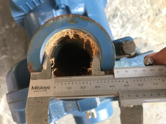 ขายปั้มน้ำหอยโข่ง Pedrollo 5.5HP. 380V made in Italy ใบพัดทองเหลือง ขนาดเข้า 2นิ้ว ออก 1.5นิ้ว สภาพสวยมาก หมุนนิ่ม พร้อมใช้งาน