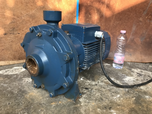 ขายปั้มน้ำหอยโข่ง Pedrollo 5.5HP. 380V made in Italy ใบพัดทองเหลือง ขนาดเข้า 2นิ้ว ออก 1.5นิ้ว สภาพสวยมาก หมุนนิ่ม พร้อมใช้งาน