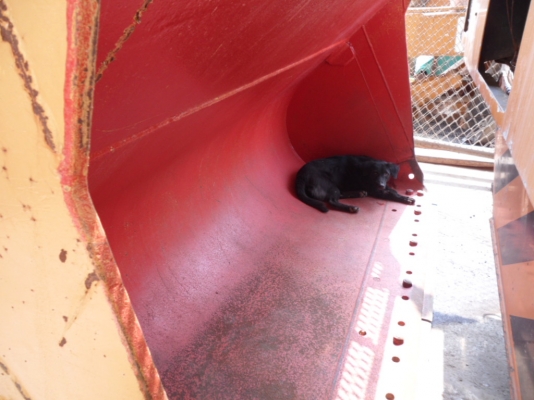 924F รถตัก CATนอกแท้ถึงไทยแล้ว  สวยเต็มๆโดนใจราคาเพียง1.25ล้าน สนใจสอบถามได้ที่ ☎ 081-989-1989 + ID LINE : rangrayong หรั่งครับ