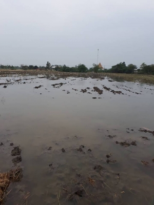 ขายโครงรถไถนั่งขับ