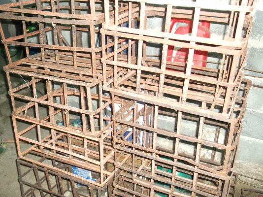 ขายตะกล้าใส่ก้อนเห็ด