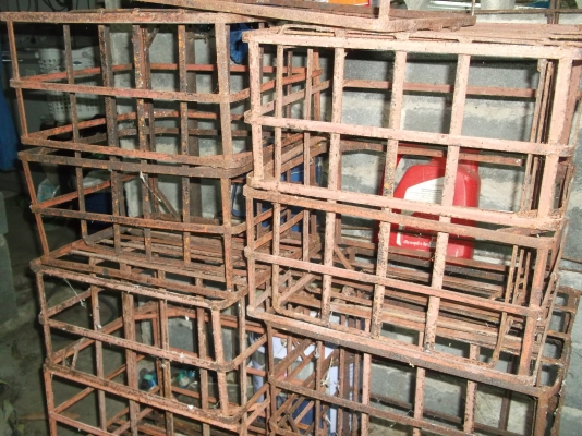 ขายตะกล้าใส่ก้อนเห็ด