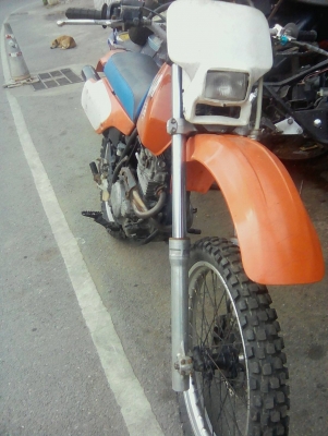 ขาย HONDA - XLR 250 CC รถวิบาก 0892 8035 132 , 086 0311 772 ขาย HONDA - XLR 250 CC รถวิบาก 0892 8035 132 , 086 0311 772