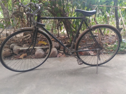 ขายจักรยานเสือหมอบรุ่นเก่า