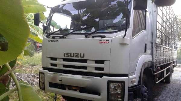 รถอีซูซุ 6 ล้อ รั้ว ( ไม่ดั้ม ) FTR 240 แรงม้า. ปี 55. , ( ​รถ สวย. ) สนใจติดต่อ 081 - 6079515