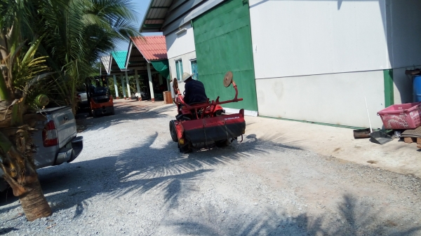 ขายรถไถนั่งขับ ชิบุระ13แรงสภาพสวยใหม่มาก ขายรถไถนั่งขับ ชิบุระ13แรงสภาพสวยใหม่มาก