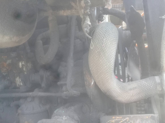 ขายตามสภาพ รถตัก CCM เครื่อง ISUZU TX เฟืองท้าย ISUZU รถจอดไว้นาน ราคาต่อรองได้ ขายตามสภาพ รถตัก CCM เครื่อง ISUZU TX เฟืองท้าย ISUZU รถจอดไว้นาน ราคาต่อรองได้