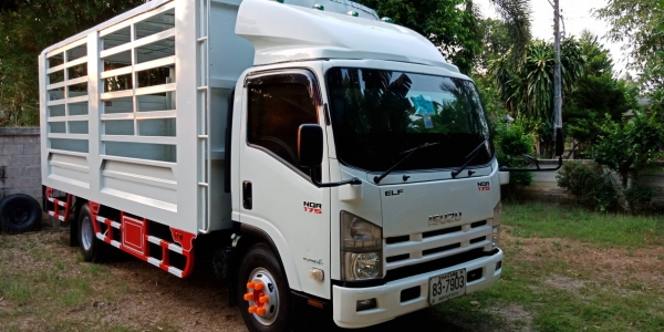 ขายรถ 6 ล้อ ISUZU  NQR 175 แรง ปี56 ยาว 5.50 เมตร พร้อม ลิฟท้าย สวยๆ พร้อมใช้