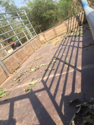 ขาย6ล้อ isuzu NKR110แรง ปี 37 รั้ว