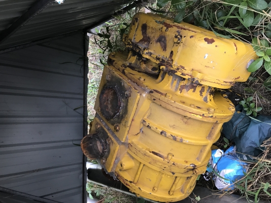 รูทโบเวอร์จนาดใหญ่