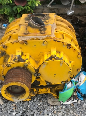 รูทโบเวอร์จนาดใหญ่