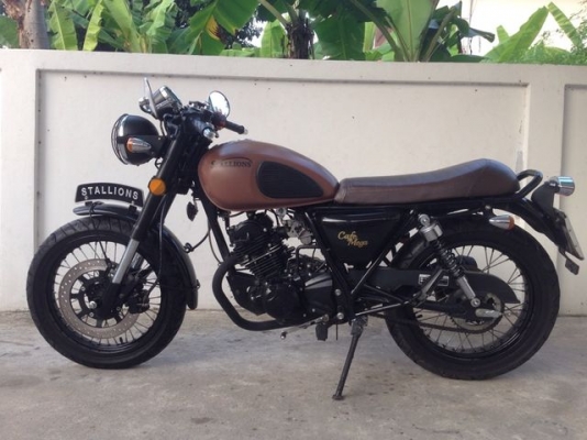 Stallions Centaur Cafe Mega น้ำตาลด้าน รุ่นพิเศษ 11 เดือน สภาพสวย