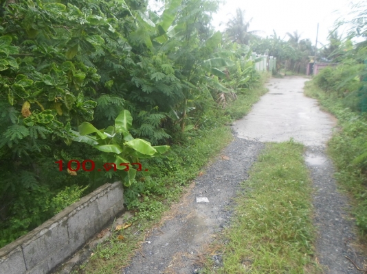 100ตรว.(เข้าซอยนิมิตรใหม่68ได้)(เข้าถนนคู้คลองสิบ หนองจอก กทม. ได้) 100ตรว.(เข้าซอยนิมิตรใหม่68ได้)(เข้าถนนคู้คลองสิบ หนองจอก กทม. ได้)