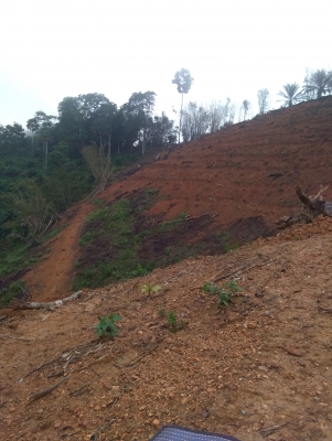 รถแมคโค sh75 บุ้งกี้ใหญ่  เทียบเท่าแมคโค120.    ราคาไม่แพง  อะไหล่มีทั่วไป.   โทรมาคุยได้คะ  ลายมาก็ได้