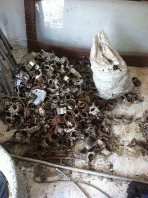 ขายมือเสือ