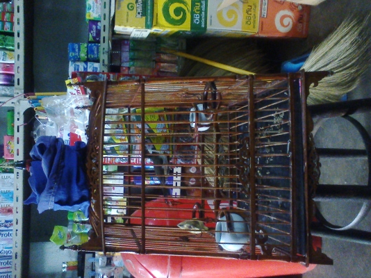 กรงนกหัวจุกไม้สัก