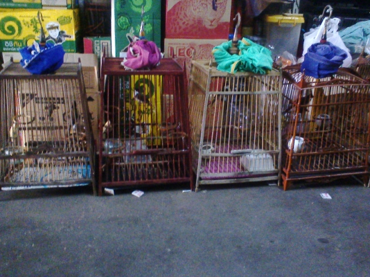 กรงนกหัวจุกไม้สัก