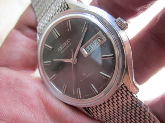 +++++ SEIKO แมวน้ำขาสิงห์ +++++ +++++ SEIKO แมวน้ำขาสิงห์ +++++