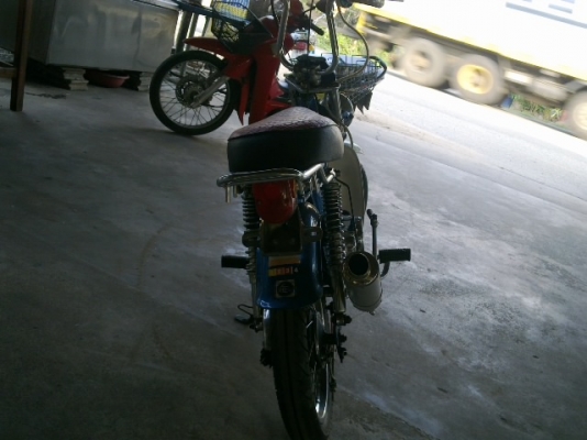 ชาลีงามพอตัว