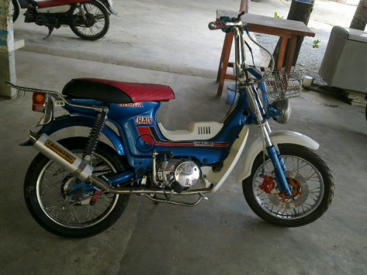 ชาลีงามพอตัว