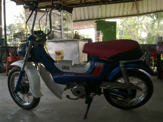 ชาลีงามพอตัว