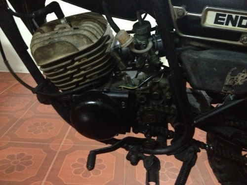 DT100X DT100X