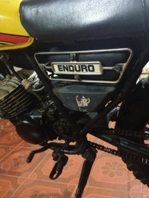 DT100X DT100X