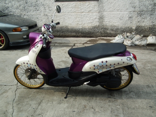 ขาย fino ปี 55